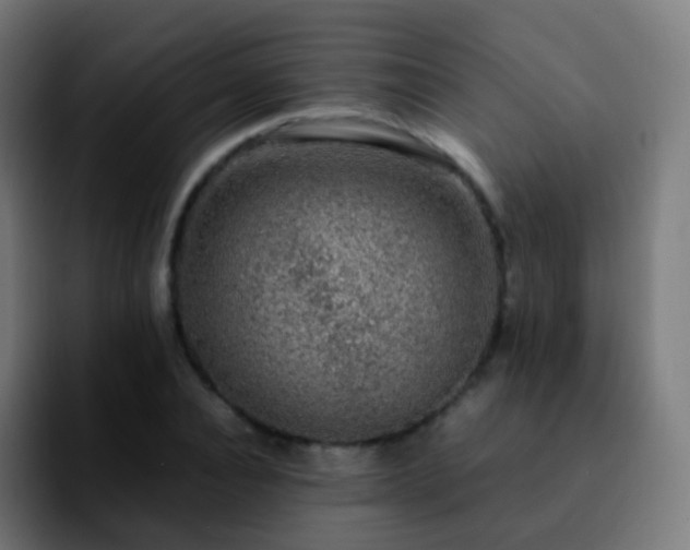 X0000092240928200709211041