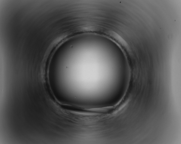 X0000092240930200709211041