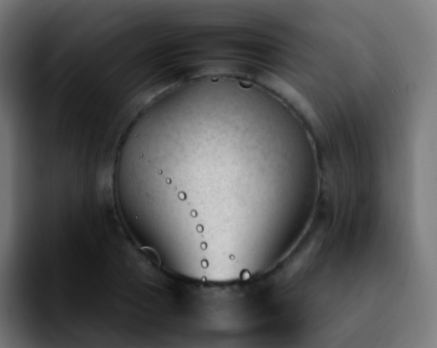 X0000092240937200709211041