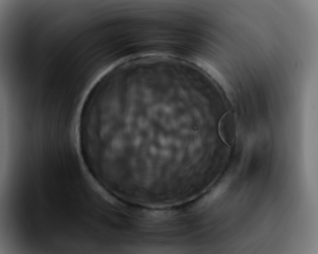 X0000092240941200709211041