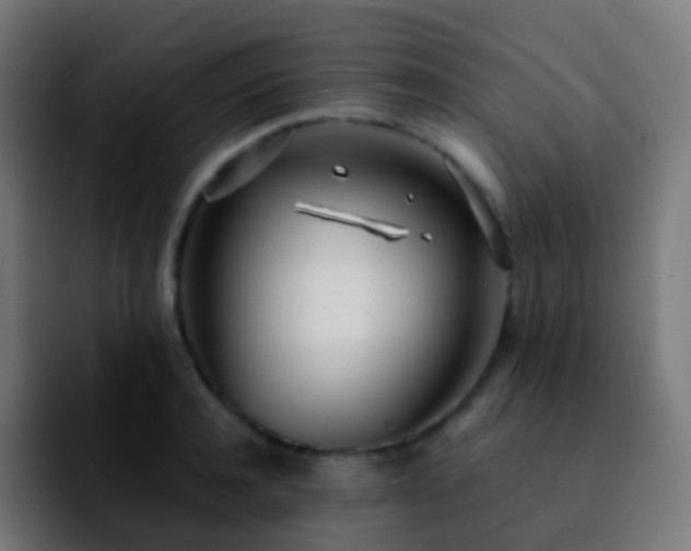 X0000092240944200709211041