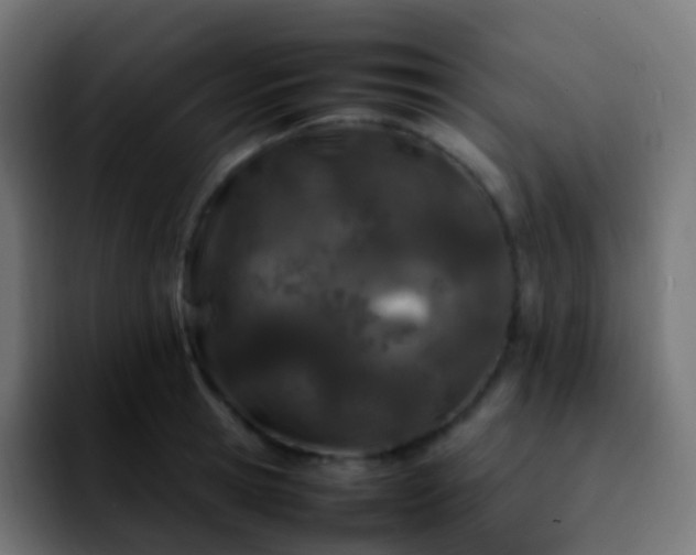 X0000092240945200709211041