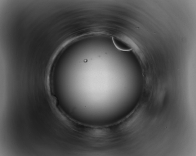 X0000092240947200709211041
