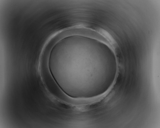 X0000092240948200709211041