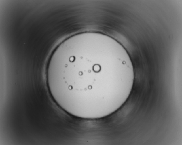 X0000092240950200709211041