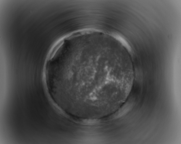 X0000092240952200709211041