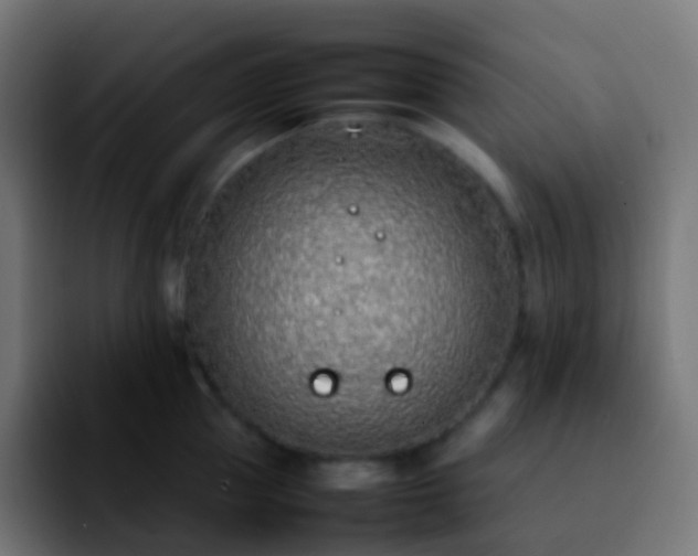 X0000092240953200709211041