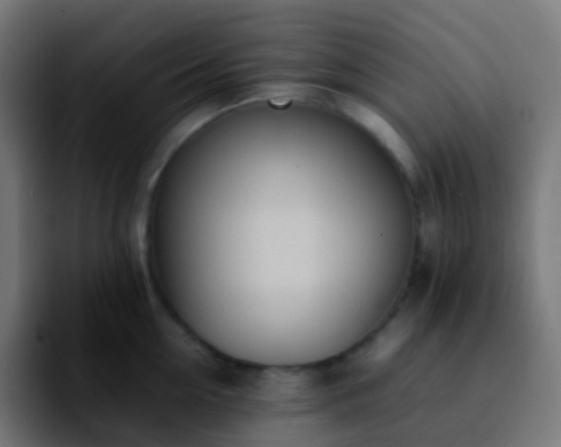 X0000092240954200709211041