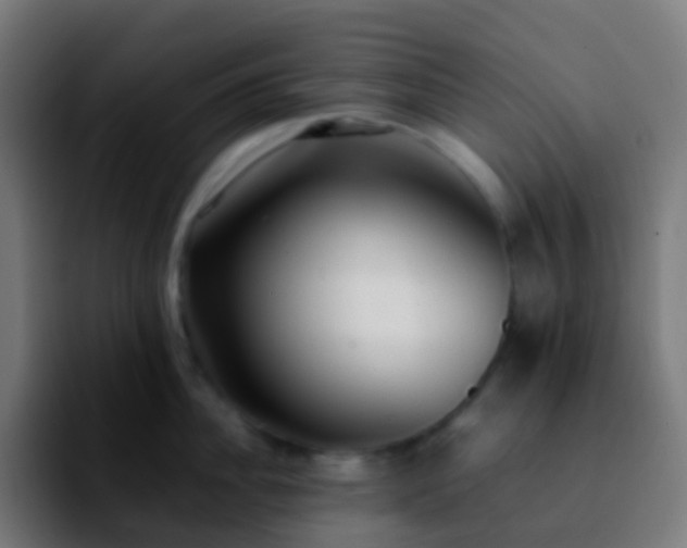 X0000092240956200709211041