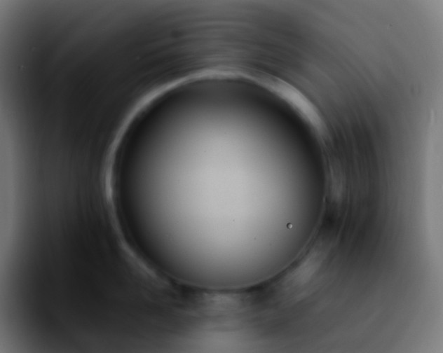 X0000092240958200709211041