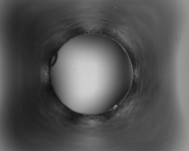 X0000092240963200709211040