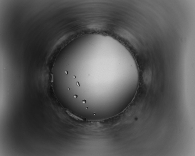 X0000092240968200709211040