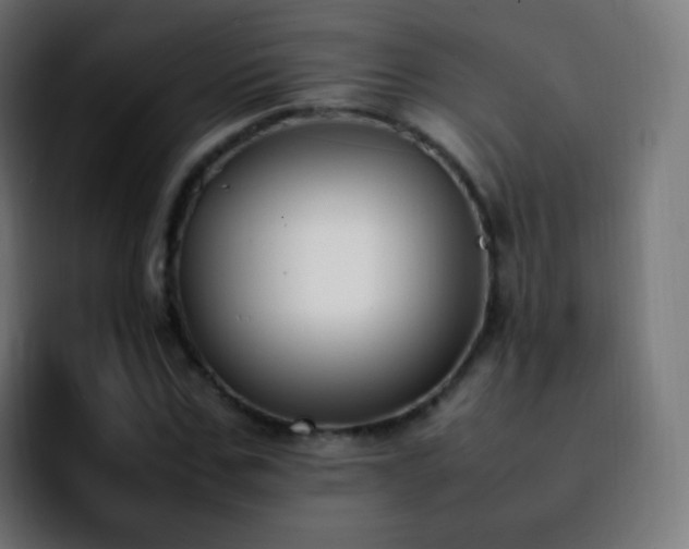 X0000092240971200709211040