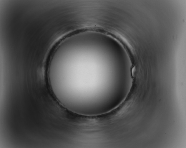 X0000092240975200709211040