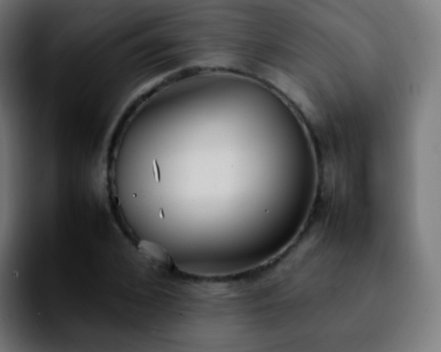 X0000092240976200709211040