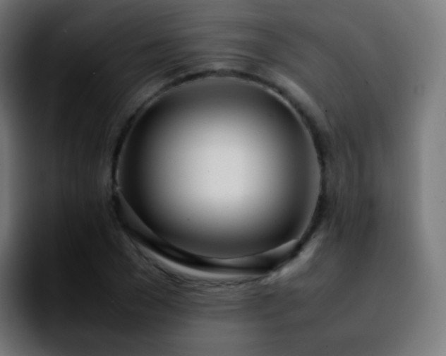 X0000092240977200709211040