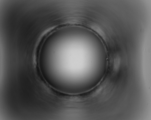 X0000092240979200709211040