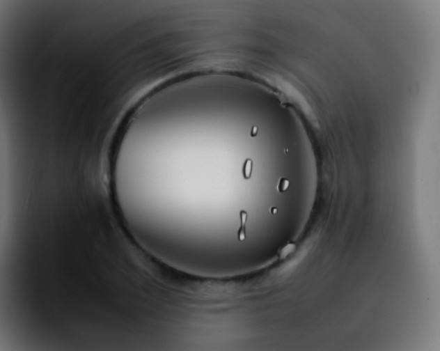 X0000092240981200709211040