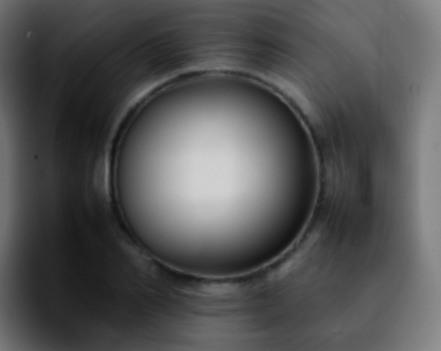 X0000092240982200709211040