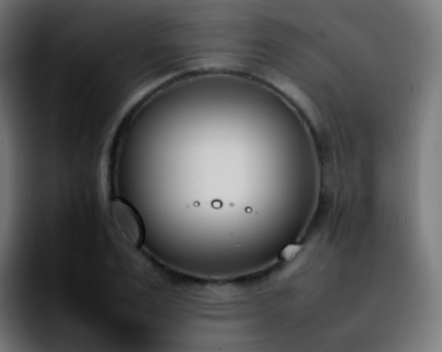 X0000092240983200709211040