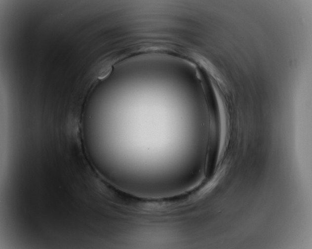X0000092240985200709211040
