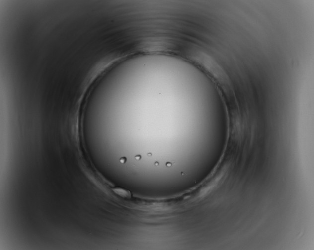 X0000092240986200709211040