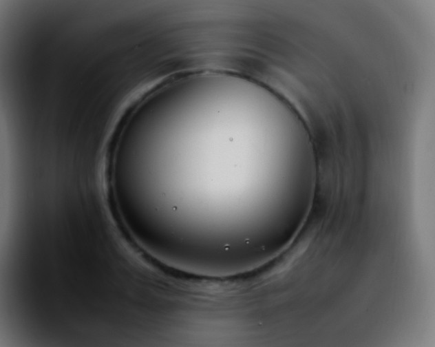 X0000092240987200709211040