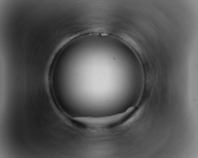 X0000092240989200709211040