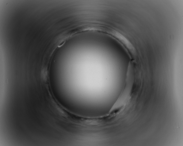 X0000092240993200709211040