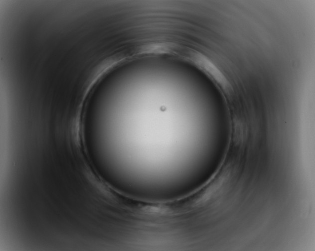 X0000092240994200709211040