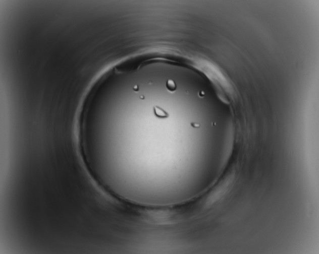 X0000092240999200709211040