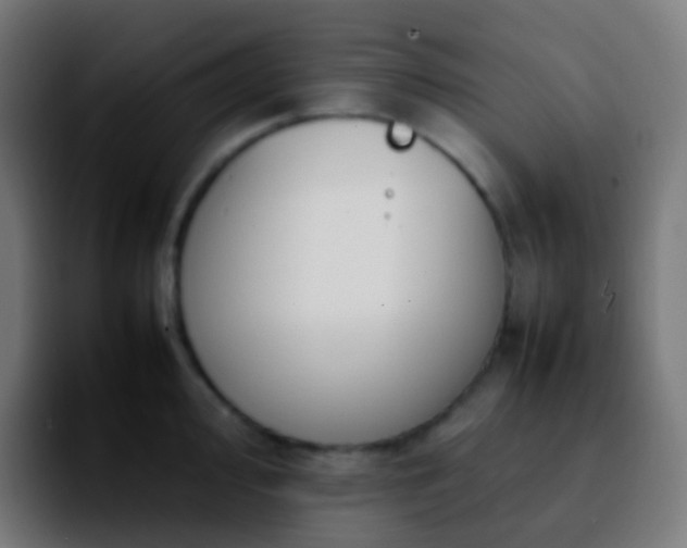 X0000092241000200709211040