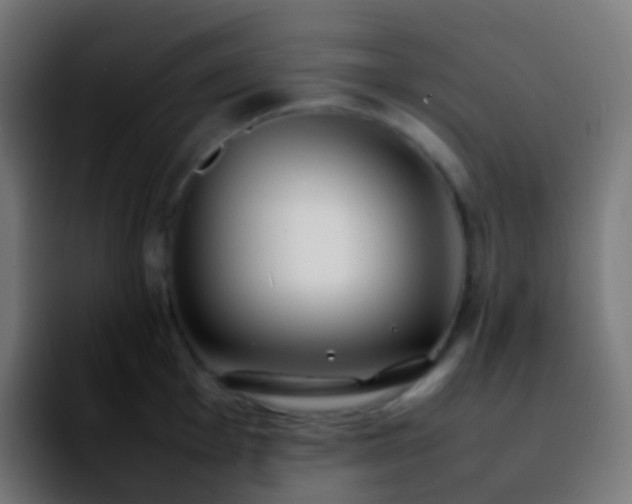X0000092241001200709211040