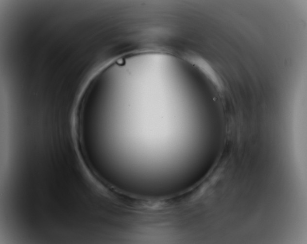 X0000092241003200709211040