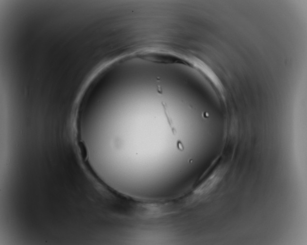 X0000092241005200709211040