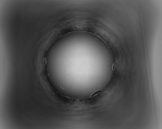 X0000092241009200709211039