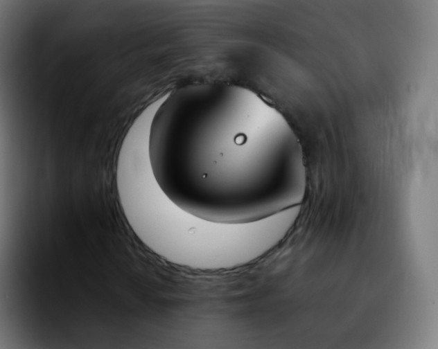 X0000092241010200709211039