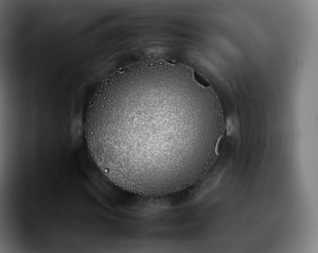 X0000092241011200709211039