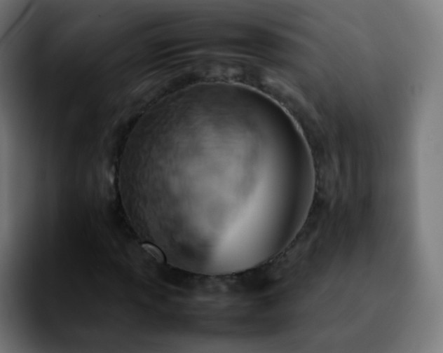 X0000092241013200709211039