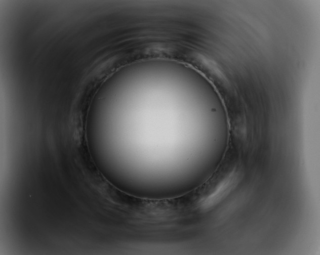 X0000092241015200709211039