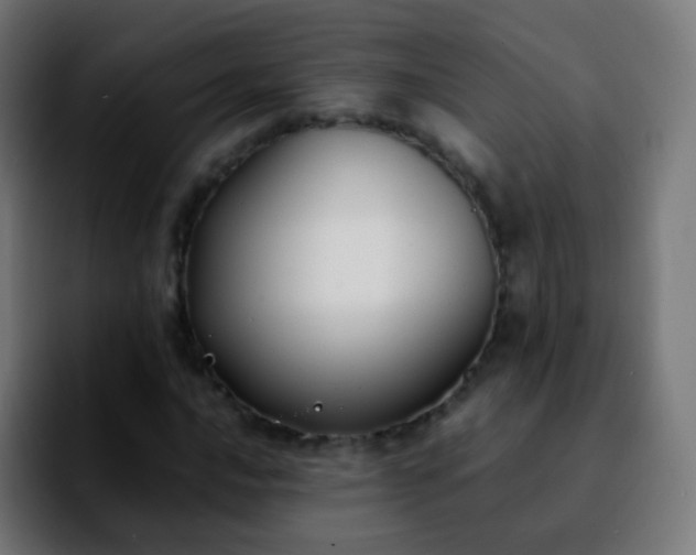 X0000092241016200709211039
