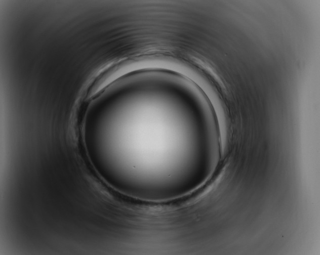 X0000092241018200709211039