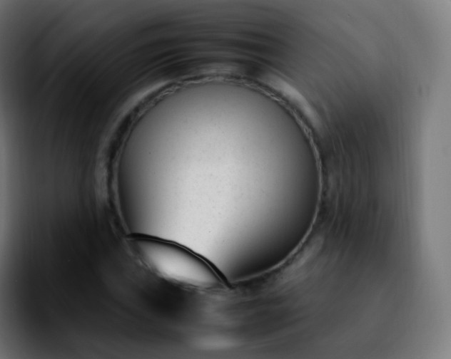 X0000092241019200709211039