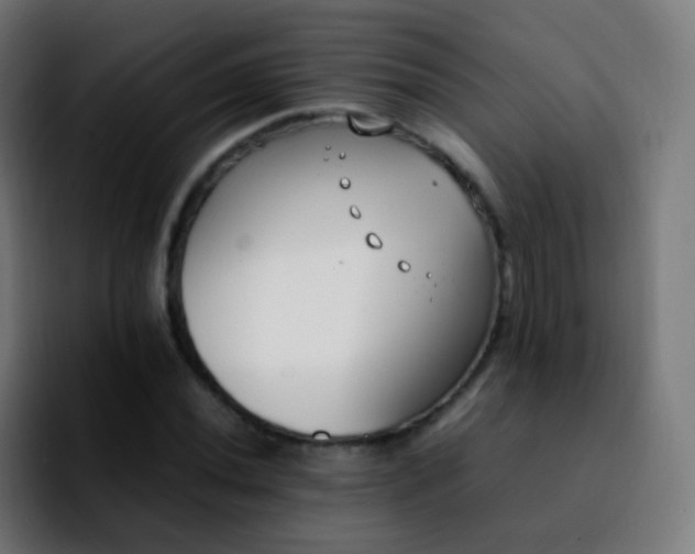 X0000092241020200709211039