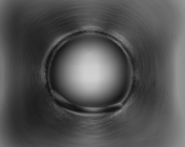 X0000092241022200709211040