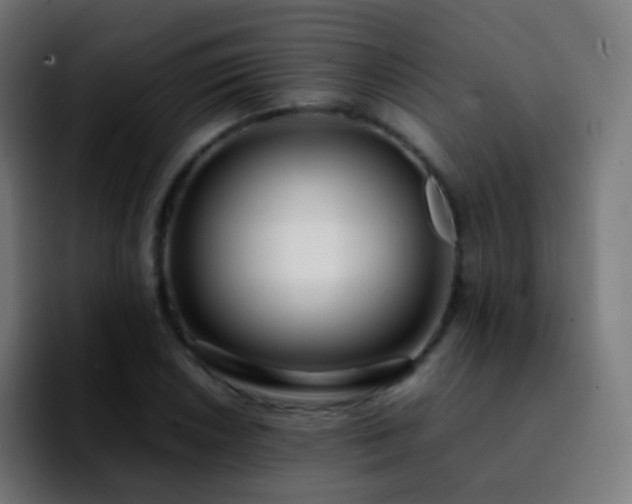 X0000092241026200709211040