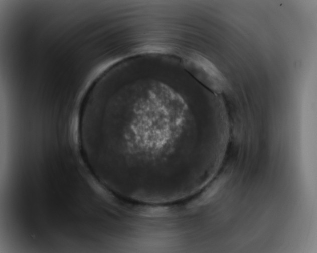 X0000092241030200709211040