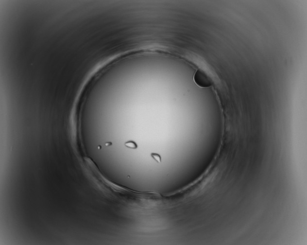 X0000092241032200709211040