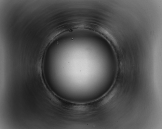 X0000092241033200709211040