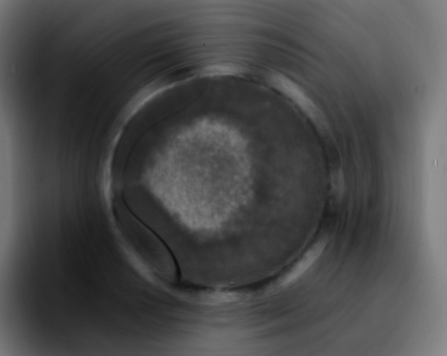 X0000092241034200709211040